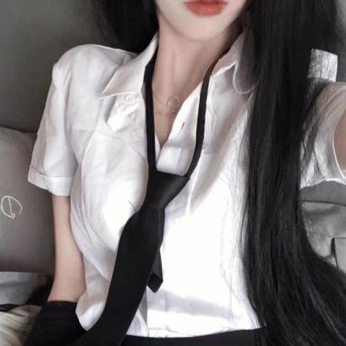 美国派4：美国重逢